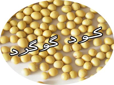 کود گوگرد
