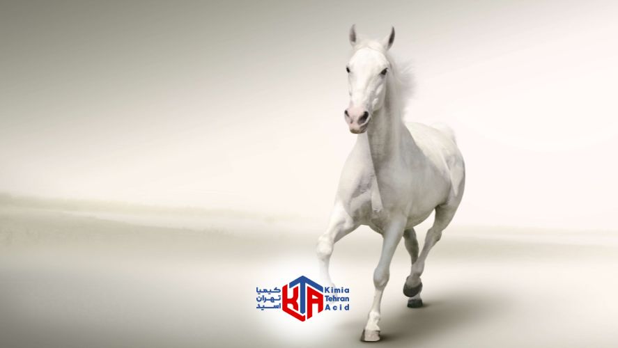 نشادر اسب