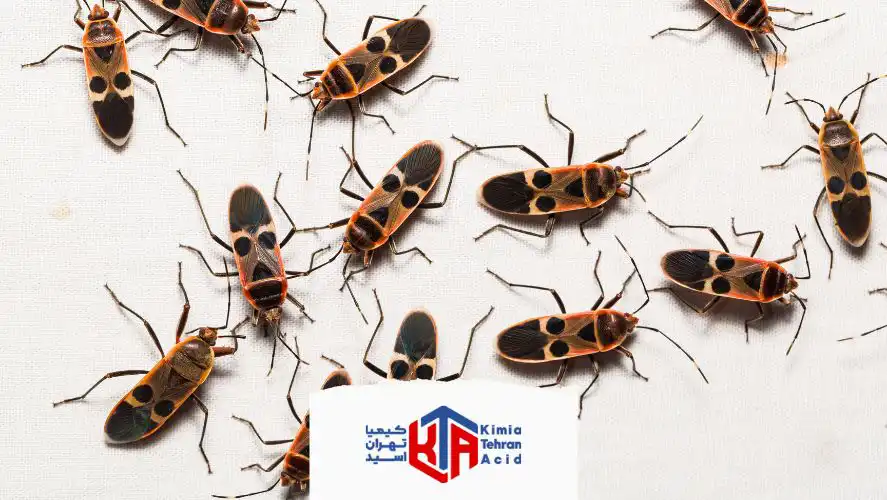 بوریک اسید به عنوان سم کشاورزی و حشرات