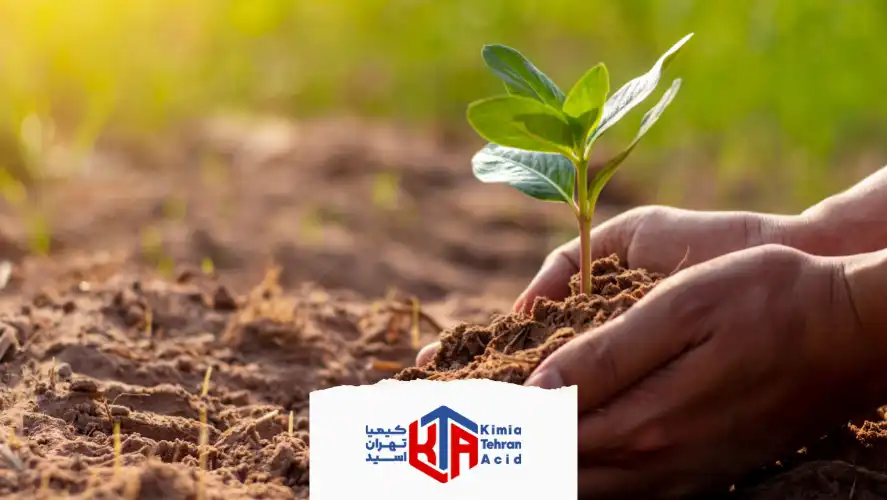 نحوه استفاده از بوریک اسید برای پرورش گیاهان