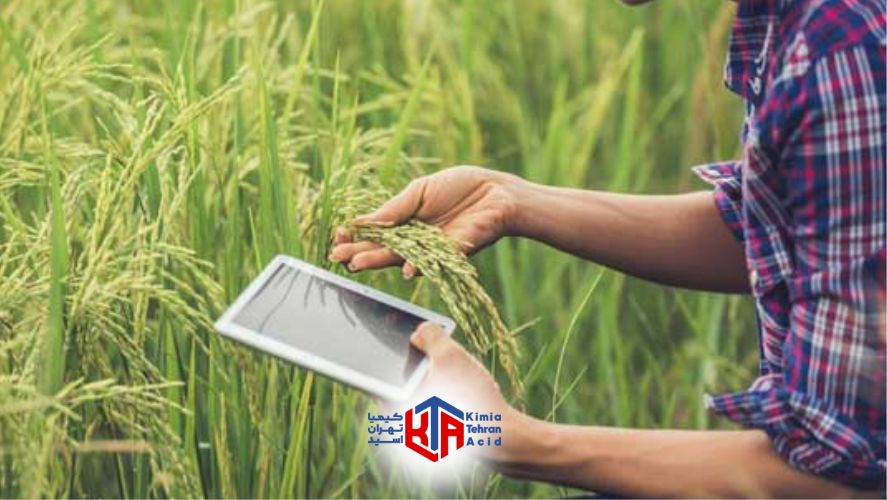 اسید بوریک در کشاورزی