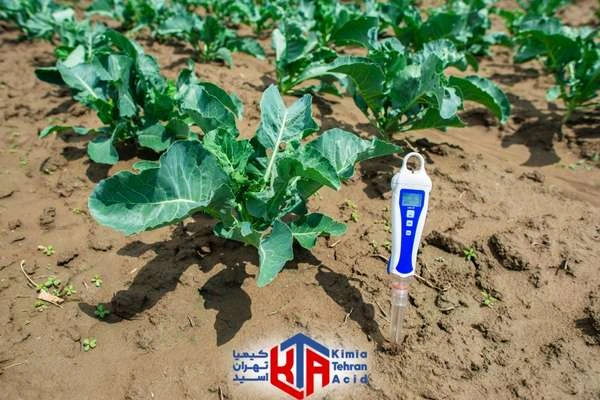 مقدار مصرف اسید سولفوریک در هکتار