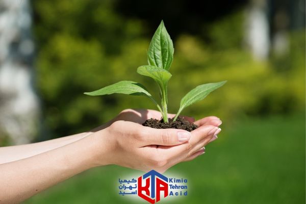زاج سبز چیست؟ +7 خواص درمانی زاج سبز کیمیا تهران اسید